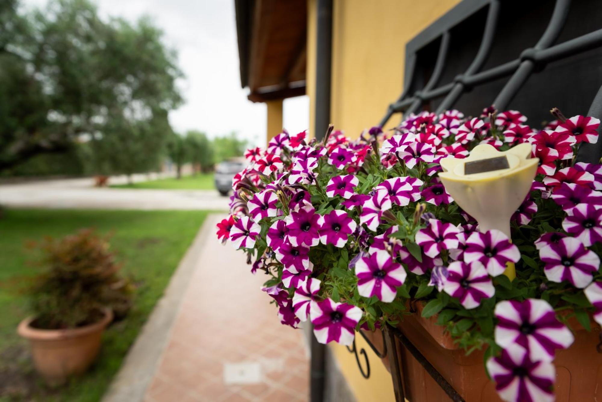 L'Antico Vigneto Hotel Marino Bagian luar foto